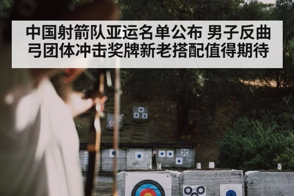 archery target practice